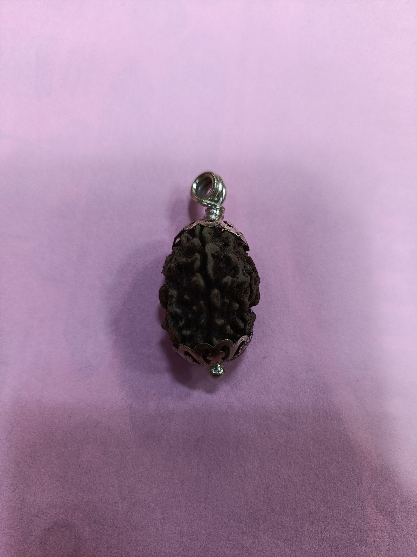3 phase rudraksha