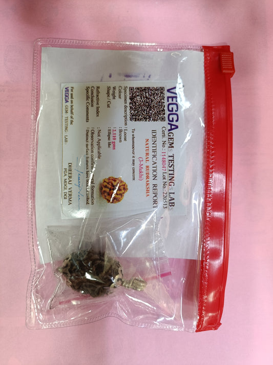 3 phase rudraksha